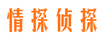 白碱滩市私人侦探